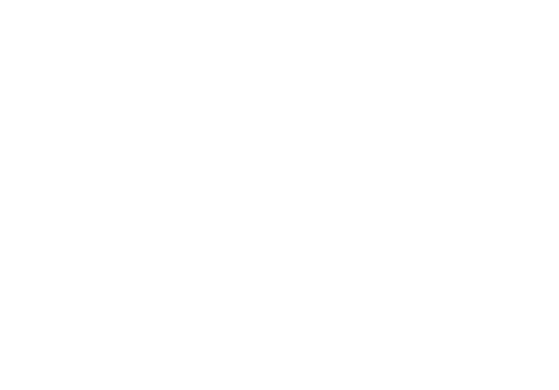 Starship Tours and Events in New York City