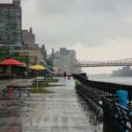 Best NYC Boat Tour for a Rainy Day: What to Know Before You Book