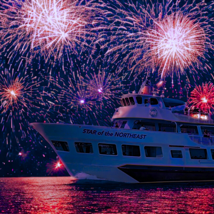 fireworks in the night sky over a body of water